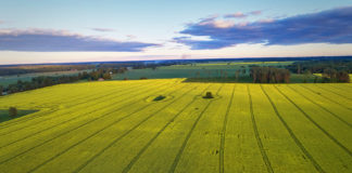 Aasta põllumeeste pöördumine Eesti Vabariigi presidendi, Riigikogu, Valitsuse ja avalikkuse poole