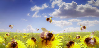 Ülevaade taimekaitsevahendite turustamisest ja kasutamisest 2020. aastal