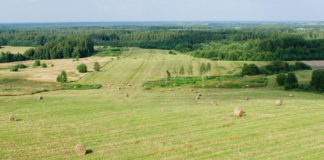 GreenAgri projekti tulemused loovad eeldusi orgaanilise väetise keskkonnasõbralikumaks kasutamiseks