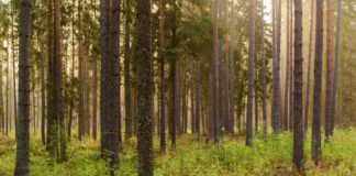 Projekti „BalticBiomass4Value“ töörühma 3. koosolek