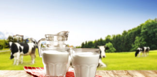 EPKK: Ebaausa kauplemistava kasutamine on igal juhul vale