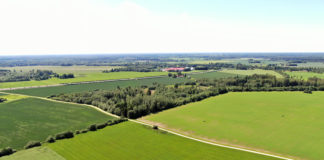 23.03.2022 – EPKK infopäev M 4.3.2 – Põllu- ja metsamajanduse taristu arendamine ja hoid