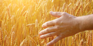 Põllumajanduspoliitika