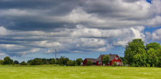 11.12 ja 16.12.2019 – Loomakasvatust mõjutavad kliimapoliitika arengud