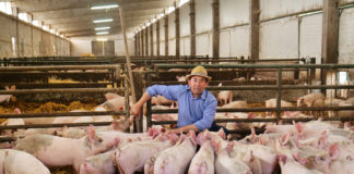 22.11.2019 – Seakasvatajate aastakonverents 2019