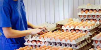 Euroopa Liidu toidu märgistamise andmebaas