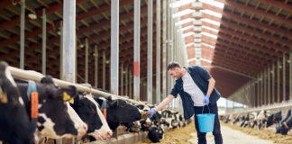 02.10.2019 – Infopäev “Põllumajandusloomade aretus põllumajanduses”