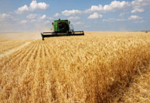 Koristushooaeg on alanud – palume liikluses tähelepanelikkust