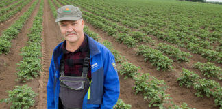 AP kandidaat 2019: Gustav Põldmaa põllul kasvavad kuninglikud kartulisordid