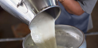 04.10.2019 – Piimaväikekäitlejate konverents