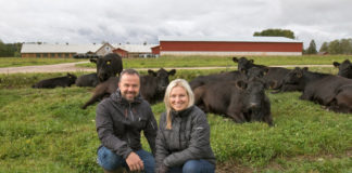 AP 2019 kandidaat: Tiina ja Ivo Tomson on parimad lihaveisekasvatajad