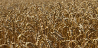 Riigikogu keskkonnakomisjon tutvub põllumajanduse köögipoolega