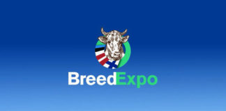 Ilmus tõuloomade eksporti tutvustav trükis