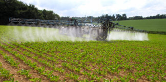 Laenud, käendused ja maakapital aitavad leevendada põllumajandussektori probleeme