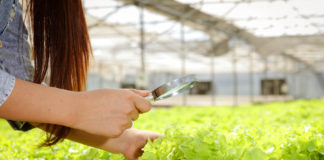 Põllumeeste liidud: Välistööjõu asendamine põllumajanduses vajab pikemaajalist plaani