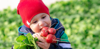 Aeg saab otsa: Välismaa põllutöölised tuleb erandkorras Eestisse lubada