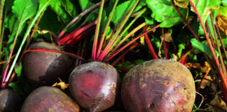 Põllumajandussektori erakorralise toetuse maksmise aeg pole veel selge