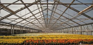 Covid-19 mõju põllumajandussektorile on sügav