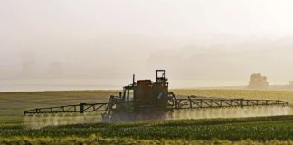 Kuidas hinnatakse taimekaitsevahendite riski elusloodusele?