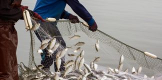 Kalakasvataja kutseeksam septembris 2022