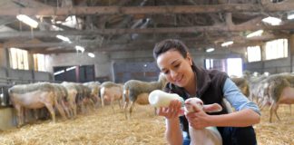 Kutseeksamid 2024. aasta veebruaris