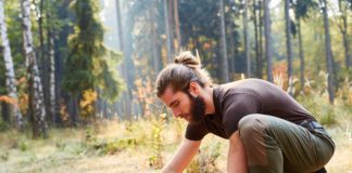 Biomassi väärindamine: Ilmunud on BB4V projekti uudiskiri