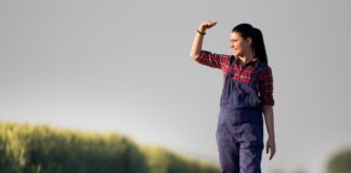 Põllumajanduskoda jätkab põllumajanduse ja veterinaaria valdkondades kutseandjana