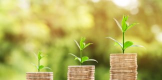 Tulemas rahvusvaheline biomajanduse virtuaalkonverents