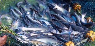 Kutseeksamid augustis 2020