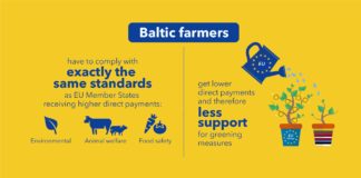 Seminaril räägiti Balti riikide otsetoetuste tulevikust