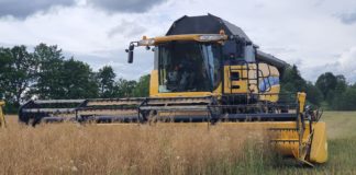 Alanud viljakoristus toob kombainid põldudele ja teedele