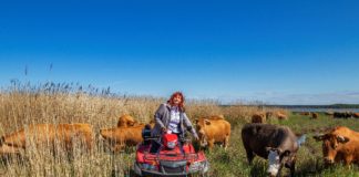 AP 2020 kandidaat Diana Pärna – Lahemaa rahvuspargi kujundaja Diana Pärna