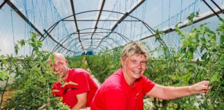 AP 2020 kandidaat Janika Lindsalu – Osa maasikasaaki jäi põllule hallitama, aga maasikakasvataja Janika Lindsalu on raskustega harjunud