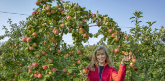 Aasta Põllumees 2020 kandidaat Ille Kasvand pakub parimaid kodumaiseid õunasorte