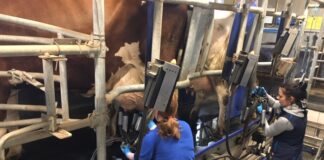 Kutseeksamid veebruaris 2021