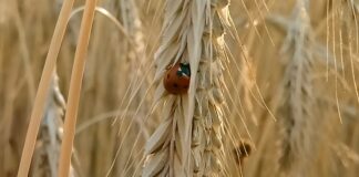 Keskkonnanõudeid täitev Eesti peab jälgima konkurentsivõime säilimist