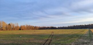 Kavandatav maamaksutõus avaldab otsest survet kodumaise toidu hinnale