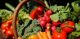 25.03.2021 – Veebikonverents “Läänemere maade kohalik toit”