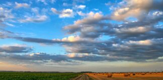 Uus kliimaeesmärk sunniks toidutootmist vähendama