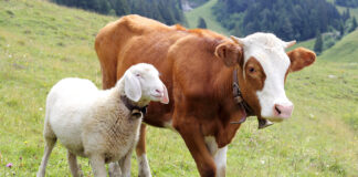 Kutseeksamid oktoobris 2023