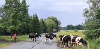 Põllumehed paluvad kevadiste põllutööde ajal kaasliiklejatelt tähelepanu ja kannatlikkust