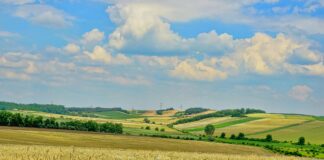 02.06.2023 EPKK infopäev „Põllu- ja metsamaade hindamine ning maksustamine“
