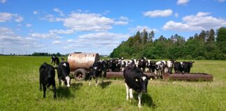 Piimandussektor on ringmajanduse parim näide