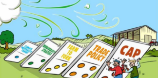 ÜPP kokkulepe peab arvestama Eesti eripäradega