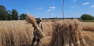 20.07.2023 EPKK infopäev “Ilmastiku muutuste mõju sööda varumisele”