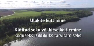 Valminud on õppevideo kütitud soku või kitse käitlemisest