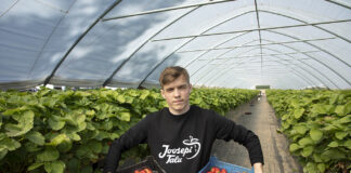 Rahvapõllumees Ranet Roositalu: Joosepi talu pakub põnevaid maasikasorte