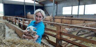 Tublid põllumehed saavad ka tänavu tunnustatud