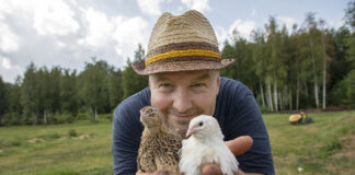 Janek Pritsi talu õues uhkeldavad kuldfaasanid ja vutid