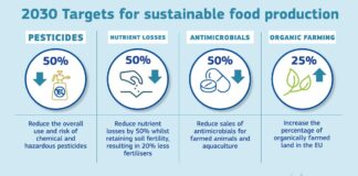 Uus uuring kinnitab strateegia “Talust taldrikule” tohutuid tagajärgi ELi toidutootmisele